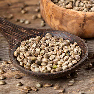 Hemp seeds manufacturers