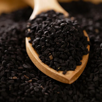 Suppliers of onion seeds