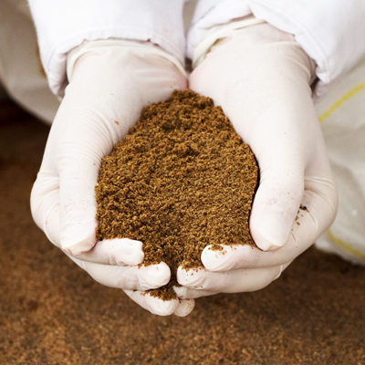 Suppliers of fish meal